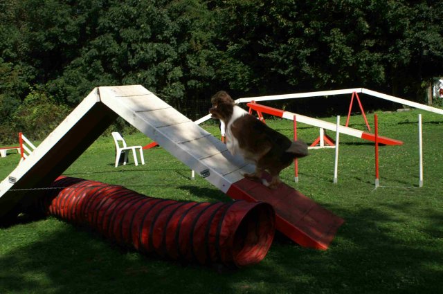 agility 2011-08